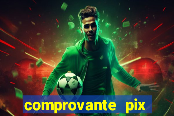 comprovante pix fake meme